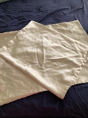 Silky Pillowcase Pair in Light Champagne - Unbranded